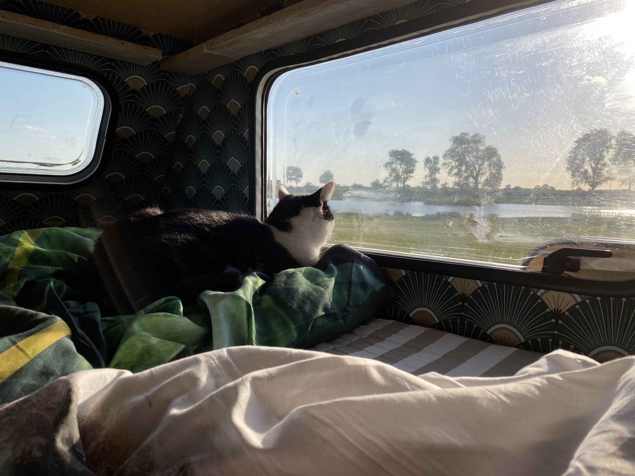 Camper